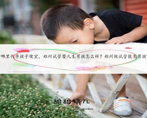 郑州哪里代孕孩子便宜，郑州试管婴儿生男孩怎么样？郑州做试管能生男孩吗？