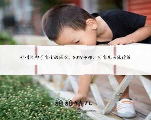 郑州借卵子生子的医院，2019年郑州新生儿医保政策